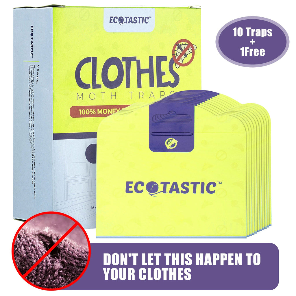 Top 10 Mistakes People Make with Clothing Moth Traps (and How to Avoid Them)