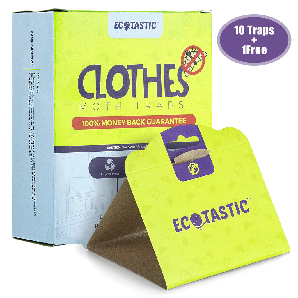 Clothing Moth Traps: Extremely Powerful & Non-Toxic Solutions for Your Closet